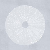 Tide Pool Treasures I Framed Print