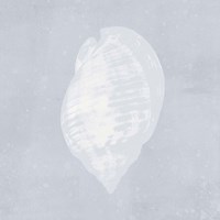 Tide Pool Treasures III Framed Print