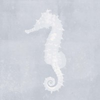 Tide Pool Treasures VI Framed Print