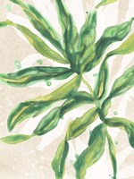 Parchment Palms II Fine Art Print