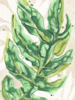 Parchment Palms III Fine Art Print