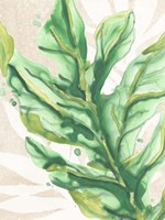 Parchment Palms IV Fine Art Print