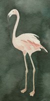 Forest Flamingo I Fine Art Print