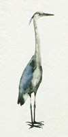 Deep Blue Heron I Framed Print