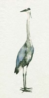 Deep Blue Heron II Framed Print