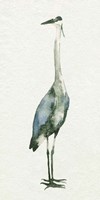 Deep Blue Heron II Fine Art Print