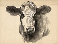 Charcoal Cow I Fine Art Print