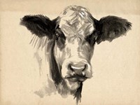 Charcoal Cow II Fine Art Print