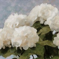 Sunday Flowers I Fine Art Print