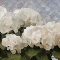 Sunday Flowers II Fine Art Print