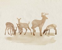 Whitetail Herd II Fine Art Print