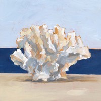 Coral By the Shore II Fine Art Print