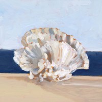 Coral By the Shore III Fine Art Print