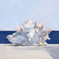 Shell By the Shore I Fine Art Print