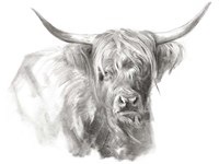 Soft Focus Highland Cattle I Fine Art Print