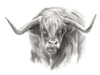 Soft Focus Highland Cattle II Fine Art Print