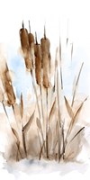 Watercolor Cattail Study I Framed Print