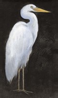 White Heron Portrait I Fine Art Print