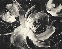 Bold III Dark Framed Print