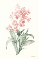 Spring Orchid I Framed Print