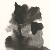 Transitions VII Fine Art Print