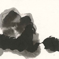 Transitions II Fine Art Print