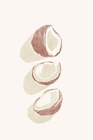 Tropical Coconuts Fine Art Print