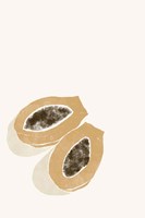 Tropical Papaya Fine Art Print