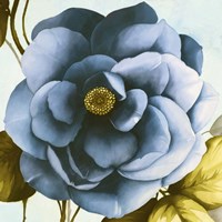 Azaleas III (detail) Fine Art Print