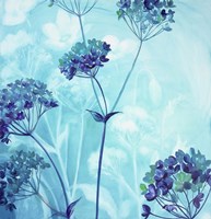 Behind the Scenes Fine Art Print