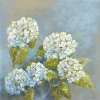 A Touch of Magic Fine Art Print