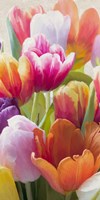 Spring Tulips II Framed Print