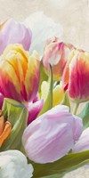 Spring Tulips III Framed Print