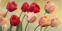 Golden Tulips Fine Art Print