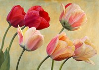 Golden Tulips (detail) Fine Art Print