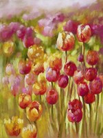 Tulip Sea Fine Art Print