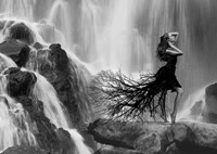 Nature's Beauty Fine Art Print