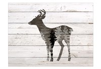 Deer 2 Framed Print