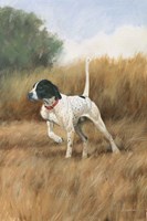 Hunting Dog II Framed Print