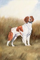 Hunting Dog I Fine Art Print