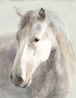 Gentle Horse Crop Fine Art Print