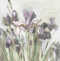 Spring Iris I Purple Fine Art Print