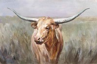 Big Sky Longhorn Fine Art Print