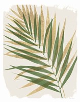 Nature By the Lake Frond II Shadows Fine Art Print