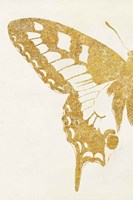 Butterfly Wings I Framed Print