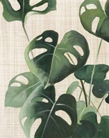 Tropical Study IV Linen Fine Art Print