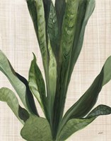 Tropical Study III Linen Fine Art Print