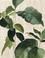 Tropical Study II Linen Fine Art Print