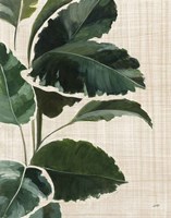 Tropical Study I Linen Fine Art Print