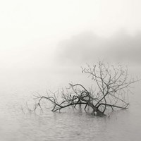 Zen Lake Fine Art Print